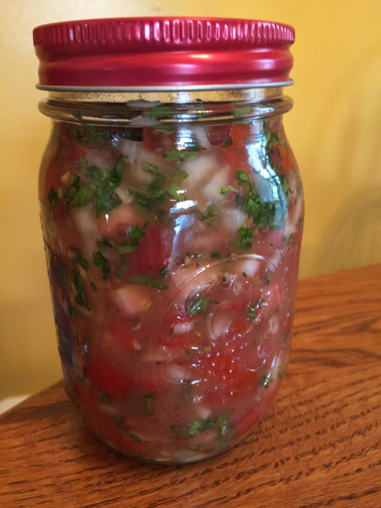 Renee's Naturally Fermented Salsa Recipe - Organic Stepping Stones